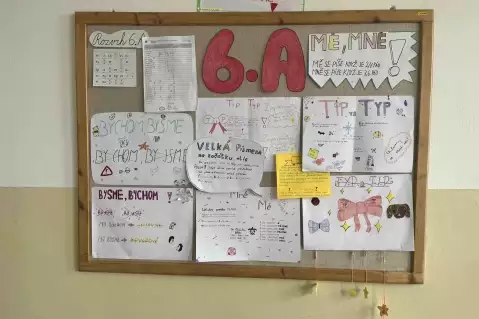 JAK NA CHYBY V ČEŠTINĚ?