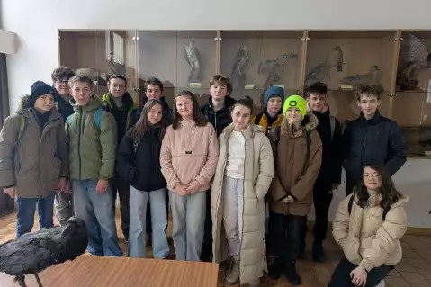 NAŠI ŽÁCI LESU ROZUMÍ