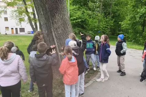 3. B PROZKOUMALA JARNÍ SADY
