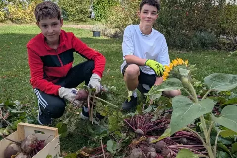 SEDMÁCI SE PUSTILI DO SKLIZNĚ ZE ZAHRADY