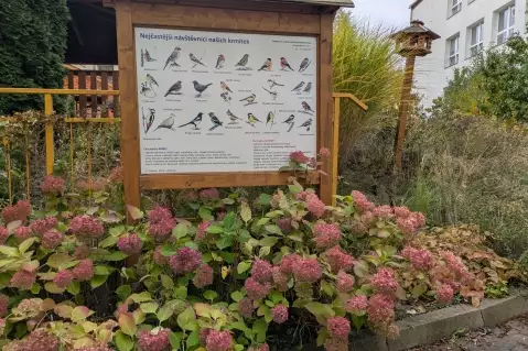 ŽÁKOVSKÝ MINIPROJEKT